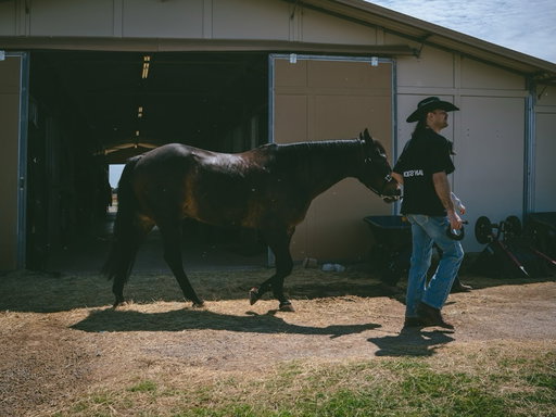 Thank you so much @laura_brainard_  and @osuequestrian 🤠 🐎 

@sianya___film 📸