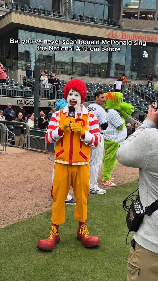 You never know what you’ll see in the ballpark