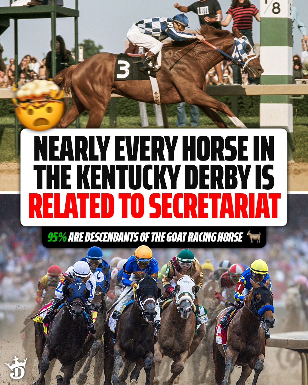 18 of the 19 horses in the Kentucky Derby are related to Secretariat 😱