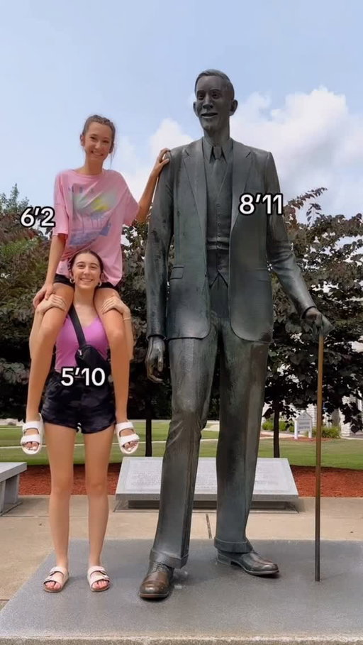 Wait for the last one 😬 #tall #throwback