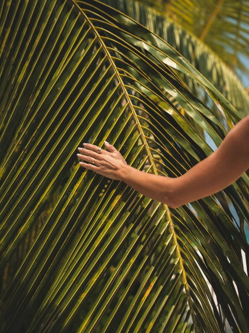 Frames from @villapark.maldives 🌴🌺🐠

Already missing this island life with its white sands, endless blues and golden sunsets where each day is the perfect combination of adventure and relaxation & every moment feels like a memory that will last forever 🥰

Who would you be bringing with you? 💭

Save this for your dream trip to the Maldives and follow @tripseatravellers to discover more tropical destinations 🫶

#islandlife #tropicalvibes #villaresortsmaldives #villapark #maldivesresorts