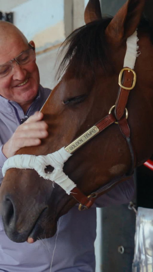 Kentucky Derby winner Golden Tempo, comes home to Cherie DeVaux’s barn at Keeneland.
.
.
.
#Keeneland