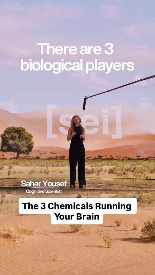 Your brain has 3 chemicals running your social life. And your phone is hijacking all of them.

Comment [SAHAR] and we'll DM you the link to watch the full talk on YouTube.

Watch the full Genius Talk on YouTube! Link in bio.

A Genius Talk ft. @drsaharyousef | @the.genius.series