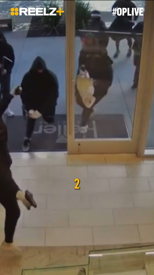 A group of 25 suspects stormed a jewelry store in #SanRamon, California and smashed display cases before grabbing nearly $1 million in jewelry. The robbery unfolded in minutes in broad daylight. 💎 #OPLive #OPNation #REELZ