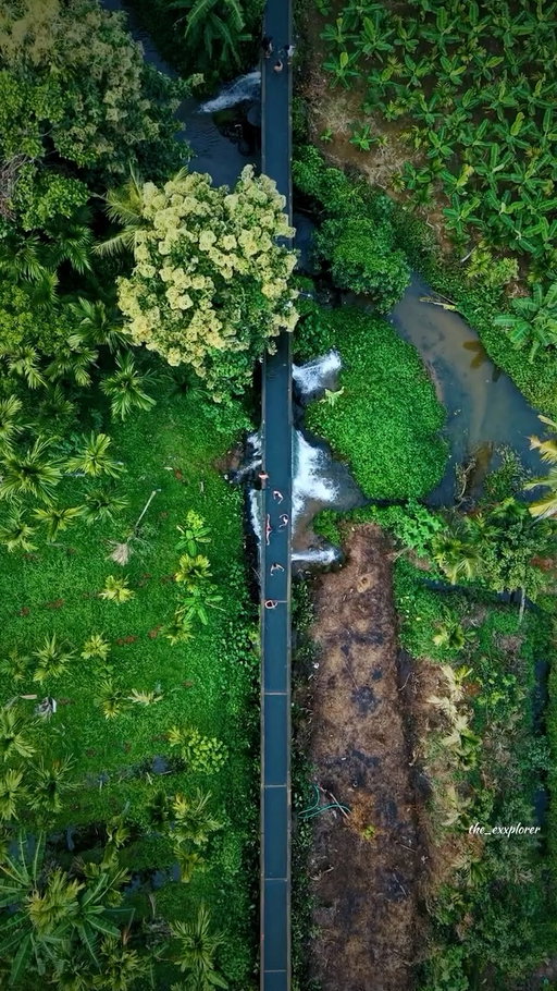 Summer from a Drone Perspective,

shot on dji air 3s
kerala
.
.
#djiair3s #reelkarofeelkaro #trendingreels #trending #explorepage