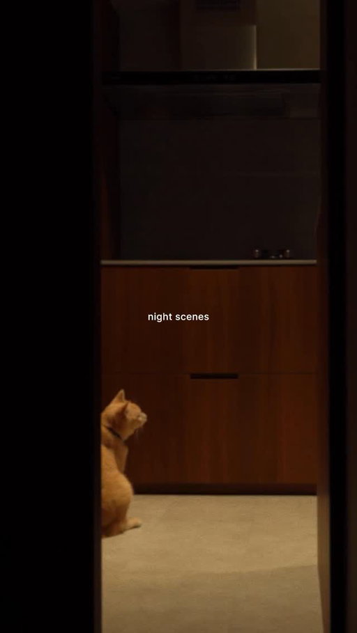 what our favourite night looks like, a bit of experimental cooking 🍳 , cats claiming their corners, everything settling into warm light 💡 , and letting all feel a bit like a film 🎥