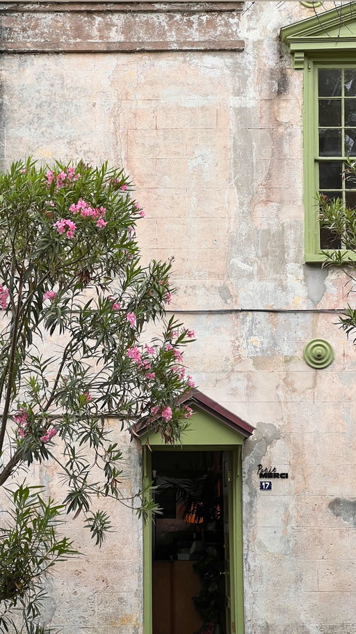 My TOP 5 highest ranked restaurants in Charleston!

I’ve been meaning to do this list for a while, but for the longest time it kept changing. However this ranking has been consistent for quite some time now, so here it goes in no particular order:

@mercichs 
@cheznouscharleston 
@honeysucklerosechs 
@bellerosehotelbar 
@canepazzochs 

Each restaurant is based off food, ambiance, experience and menu. Many of these have rotating seasonal (or even daily menus) making their experience always so unique and exciting! In my opinion these are must try’s to any Charleston dining experience!