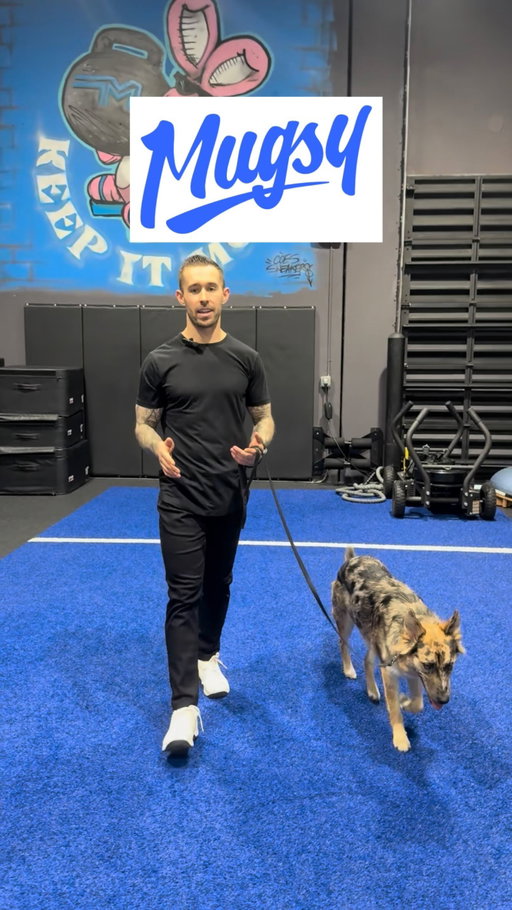 👖 MUGSY JEANS 

😩 Let’s be honest… most jeans are uncomfortable the second you start moving. That’s exactly why I was interested in trying these from Mugsy.

🏃‍♂️ Whether I’m warming up, hitting mobility work, or moving around all day, comfort matters. These have serious stretch, so nothing feels restrictive.

🥶 You get the clean look of jeans, but they move more like performance wear. Deep squats, hip openers, lunges, rotations… no problem.

🔑 And that’s what I like most—versatility. I can wear these out, wear them to work, or come straight into the gym and still feel comfortable.

📐 The tapered fit keeps them sharp, while the flexibility makes them practical for real life.

☁️ And honestly, once you get used to this level of comfort, it’s tough to go back to regular denim. It just makes everyday movement feel easier without even thinking about it.

✅ It’s one of those things you don’t realize you needed until you actually feel the difference.

📈 Once you do, it just sets a new standard for what jeans should feel like.

💯 If you want jeans that actually keep up with your lifestyle instead of fighting against it, check out Mugsy. Comfort, stretch, and still a clean look. Hard to beat.

👖 @mugsy 

🔗 https://tidd.ly/4m80GlO