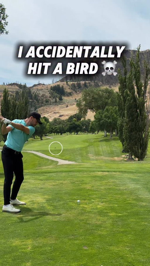 The sad thing is that this bird would’ve been okay if I didn’t hit a mega pull fade.. Was always a fan of Randy Johnson 👊🏻😂 #golf