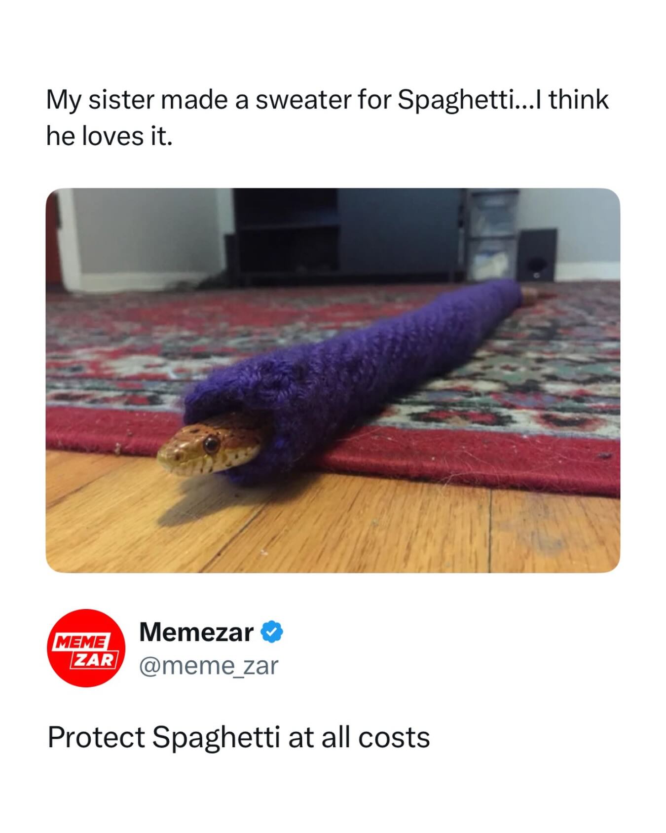 Spaghetti should've been at the Met Gala 😭