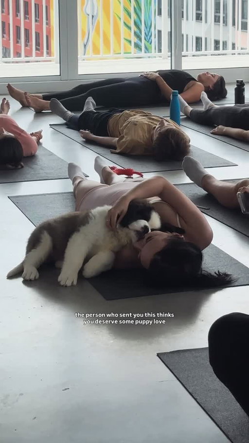 Going through it lately? Nothing some puppy love can’t fix 🤍