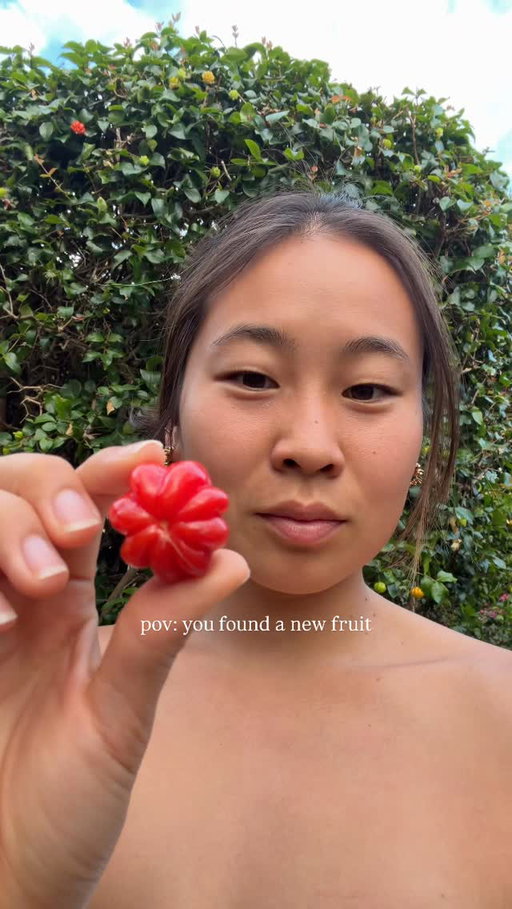 i think it’s a surinam cherry?

have you tried before??