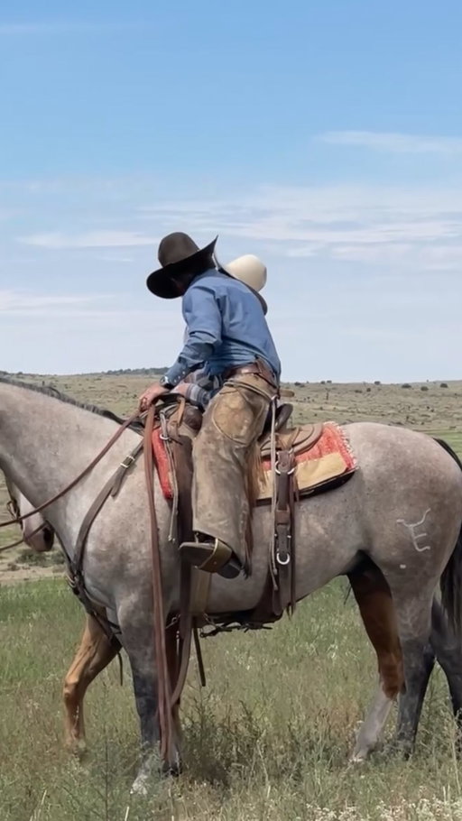 Damn darlin’ look… 👀❤️‍🔥

#cowboylove #cowboylife #countrymusic #newmusic #cowgirl