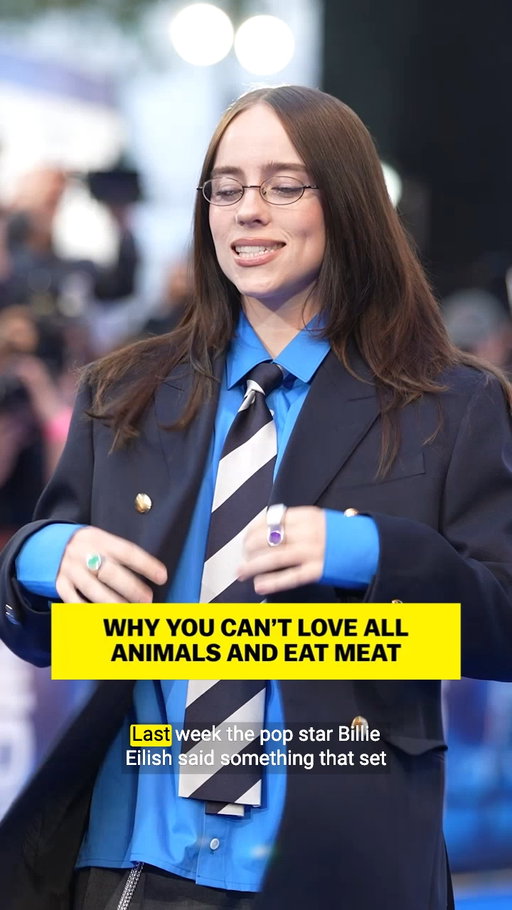 Was Billie Eilish right when she told Elle magazine that you can’t say you love all animals and eat meat? Vox’s Kenny Torrella breaks down her logic, and what the backlash from her statement reveals about the American left. #BillieEilish #Vegan #MeatIndustry #Veganism #Animals