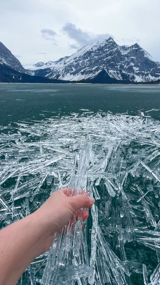Candle ice is the most fascinating natural phenomenon I’ve ever seen! 🤯 (May 6th 2026 Upper Kananaskis Lake)