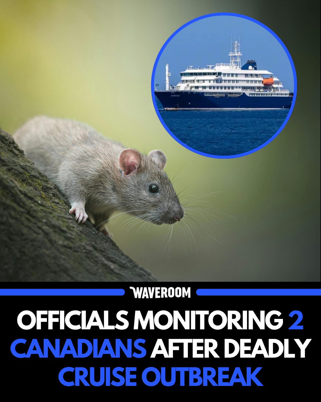 ARE YOU READY TO WEAR MASKS 😷😭

Ontario health officials are monitoring two Canadians after they returned from a cruise ship tied to a hantavirus outbreak. Authorities say the risk to the public remains low, but the situation is still developing. 👀🇨🇦

Follow @waveroom.toronto for more Toronto content! DM us your videos/photos to be featured on the page!

We aim to keep our space respectful. Hate/racism comments are not tolerated and will be removed to the best of our capabilities.

🏷️ #waveroom #waveroomtoronto #toronto #canada #mississauga
