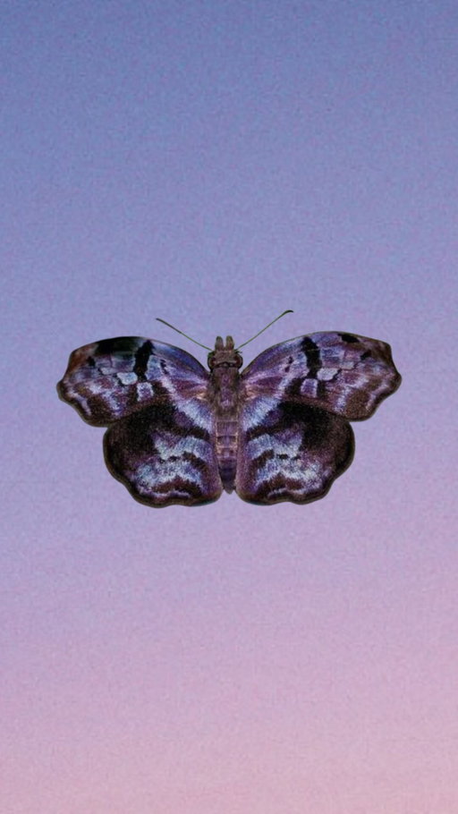 save the date - something totally new is coming 5/13 👀🦋 want early access & to be the first to know? sign up at the link in our bio!