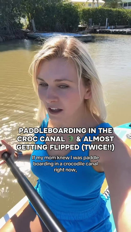 There’s NO way this happened TWICE in one day 😱😳🐊

I was paddleboarding through the croc canal on a VERY murky day when this giant “big potato” suddenly came up for air DIRECTLY under me 😭

He was NOT there seconds before. I thought I had eyes on all of them, and then suddenly… boom. We both scared each other at the exact same moment.

I stayed completely still because if I had panicked and started paddling away, I could’ve scared him even more or fallen right into the canal… and who knows where the crocodile could be 😳🐊

The craziest part is this exact manatee has been following me around in here for days 😂 We can tell him apart because he unfortunately has a small boat strike scar on his back. We named him Flip.

Right before this happened, a boat started heading straight toward the group in the murky water. I started pointing out where each manatee was so the captain could avoid hitting them. He slowed down and swerved around every single one thankfully. That’s why my paddleboard was a bit closer to the group than I usually get. It’s important to give animals space and respect.

Boat strikes are one of the leading causes of death for manatees, especially in resting canals like this.

So yes… I’d rather get flipped off my paddleboard than watch Flip get hit by a boat🥺

And before anyone asks… thankfully it was NOT the crocodile coming up from the depths this time 🫠

Follow along for more manatee, shark, dolphin, and crocodile adventures 🐊

#crocodile #manatee #florida #paddleboard #ocean
