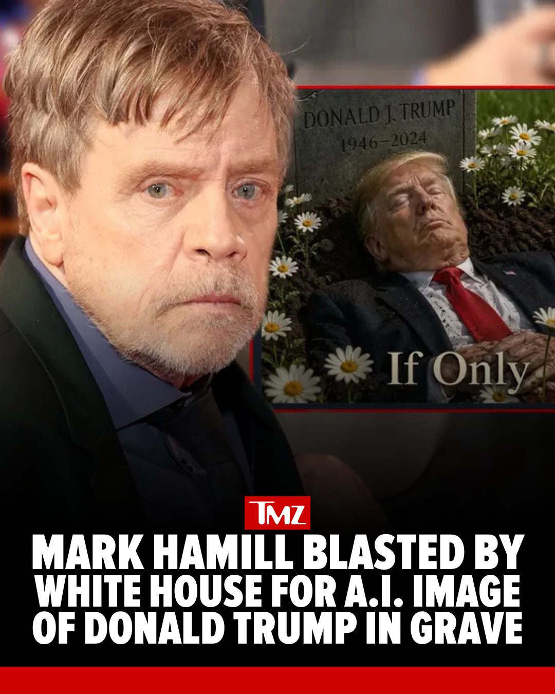 😱 Mark Hamill went to the Dark Side on President Donald Trump ... and now the White House is firing back with the force.

FULL STORY AT THE LINK IN BIO.