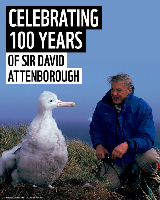 Happy 100th birthday, Sir David Attenborough. Thank you for a lifetime spent helping us see, understand and care for this wonderful world we all call home. 💙