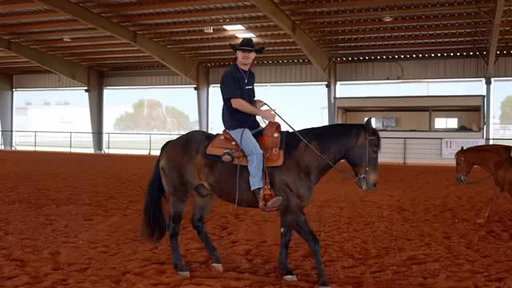 Trading gloves for reins for the day 🥊🐴

We had the chance to host some of the UFC’s finest and give them a taste of life in the barn.