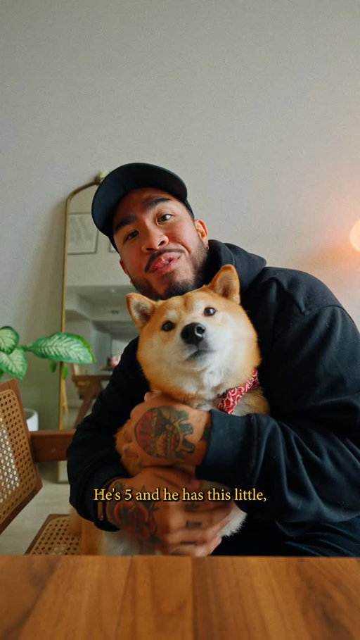 This is Boba. He’s 5, a Shiba Inu, & also basically a cat. (All other Shiba owners understand.) But anyways, my like button is NOT a corgi, it’s him! 🙂
