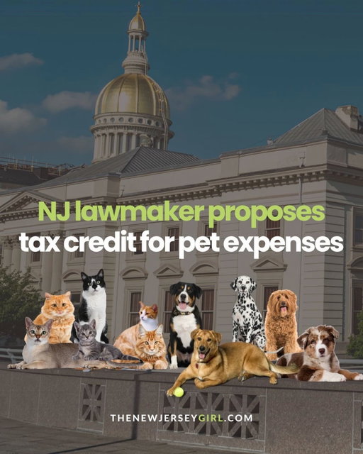 BIG NEWS for cat and dog parents of fur babies just in time for Mother’s Day weekend 🐾

New Jersey Assemblyman Alex Sauickie has proposed a pet tax credit aimed at helping pet parents offset the cost of caring for their companions. 

The bill, introduced on May 7th, would provide up to $300 per pet (up to three pets per taxpayer) for qualified expenses, including both everyday pet care and medical costs.

This includes items like food, crates, leashes, grooming supplies, toys, and even treats as “everyday pet expenses,” along with veterinary care. 

The proposal applies specifically to dogs and cats kept for companionship, so rabbits, birds, reptiles, and fish are currently not included. The bill has been referred to the Assembly Commerce and Economic Development Committee.

more details at the link in bio