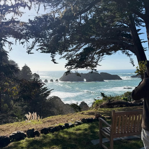 northern california roadtrip ✨✨✨✨