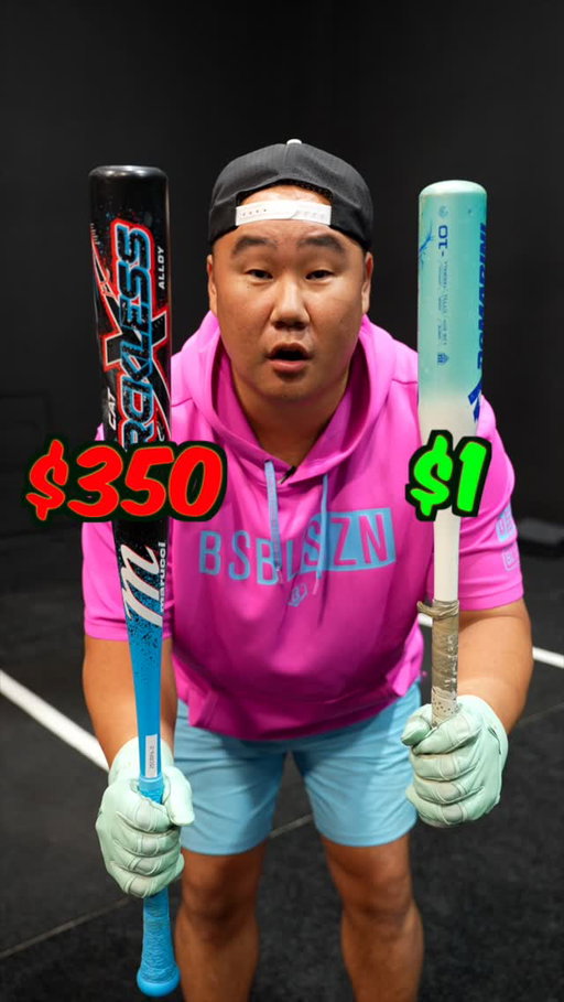 $1 Bat vs $350 Bat #baseball #hitting #fypシ