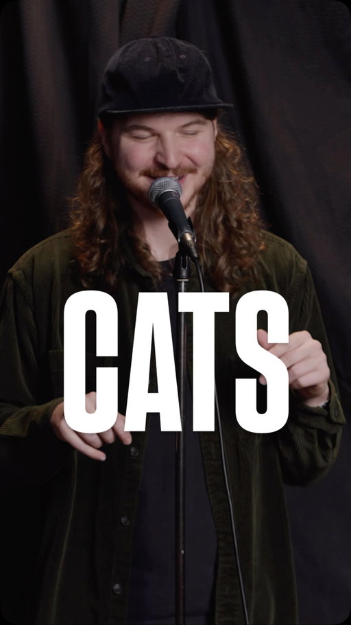 Cats on furniture #standup #standupcomedy #cats #joke