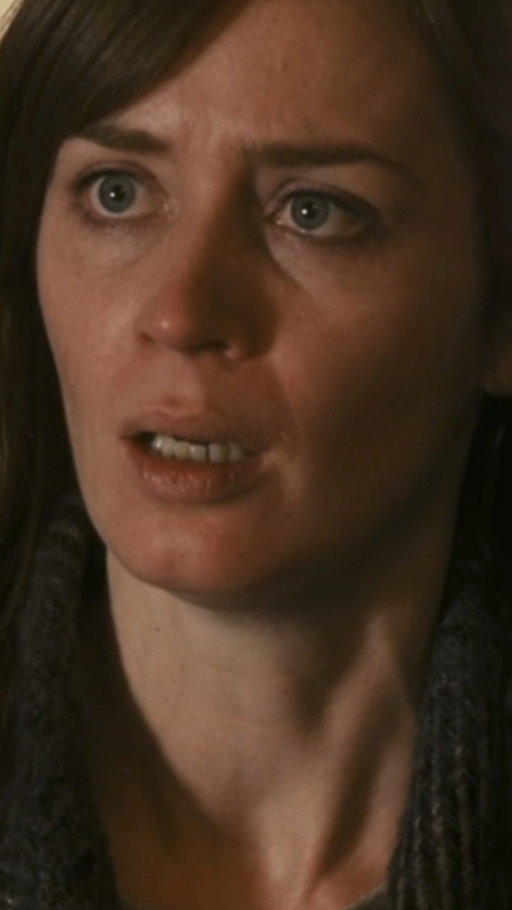 and suddenly i'm back in my emily blunt era 🙂‍↕️

🎥: #TheGirlOnTheTrain
🎭: #EmilyBlunt #JustinTheroux #RebeccaFerguson