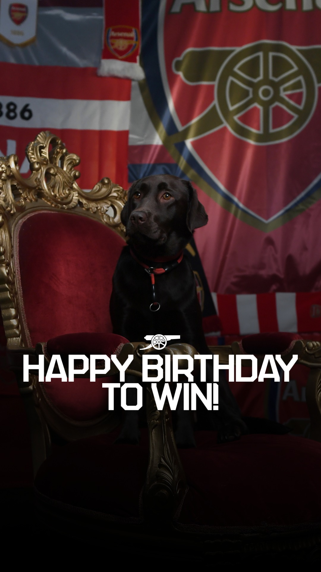Happy birthday, Win! 🥳
