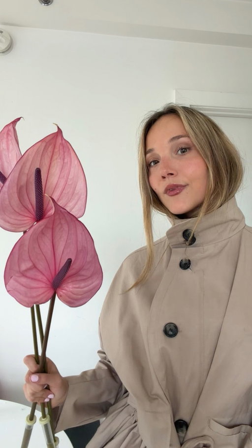never sick of anthurium!! #nycflorist #flowerhaul #florist