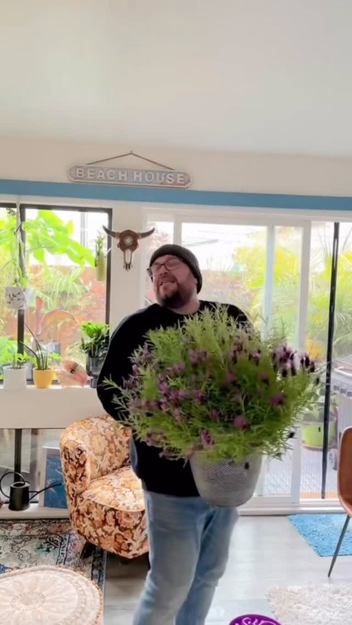 Only gardeners will understand the real joy of a new plants
