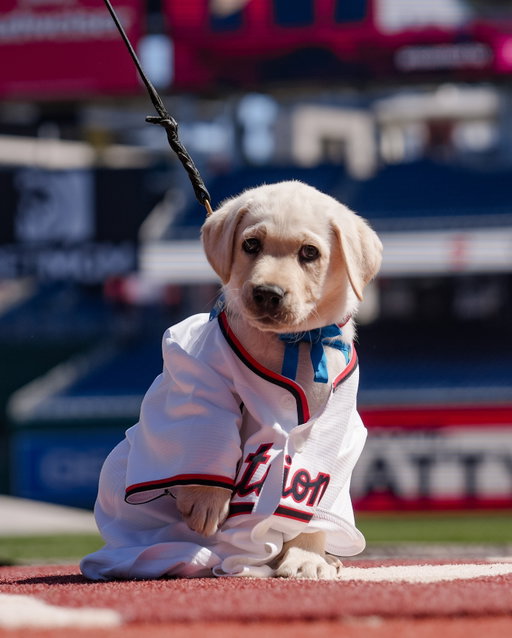 i am three baseballs tall