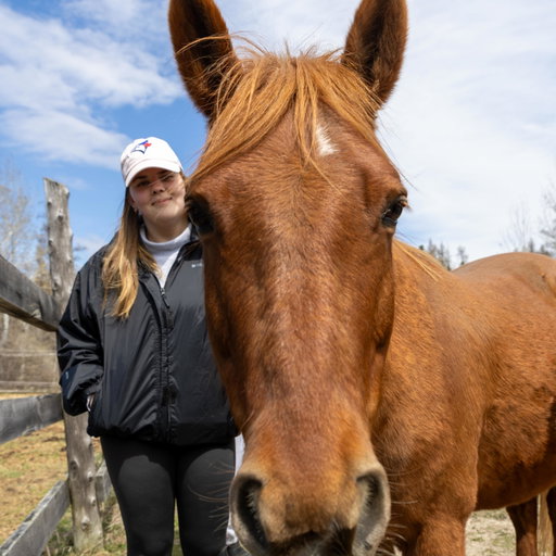 Students in Nipissing University’s Bachelor of Physical and Health Education program participated in a unique practicum last week at Horse Ability, an equine-assisted therapy facility. Guided by Dr. Kristina Karvinen, Professor at Nipissing, students had the opportunity to engage with horses while learning about equine-assisted activities and therapies that are used to support individuals in overcoming mental health challenges and learning life skills.