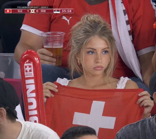Had to hop on this trend🇨🇭Swiss edition

#ai #fifa #switzerland