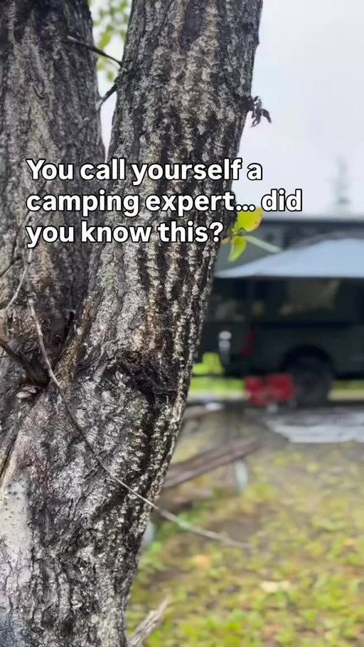 The camping hack you didn’t know you needed! Mosquitoes don’t love bubbles! The solution and mix of blowing bubbles keeps them at bay plus it’s fun. You’re welcome! 

#campingwithkids #campingtips