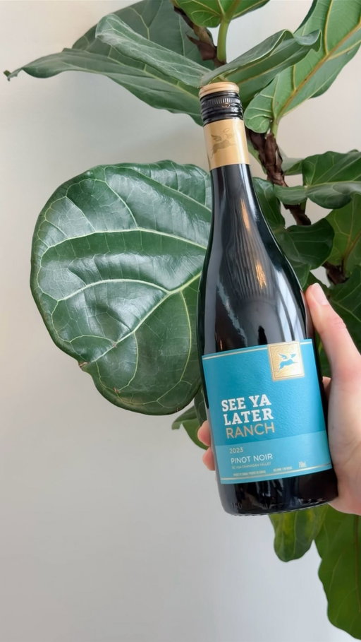 Finally. A wine description you don’t need a dictionary for. 🍓🍒🪵

See Ya Later Ranch Pinot Noir. Exactly what it looks like.

Pinot Noir BC, red wine vibes, wine made simple, BC wine, See Ya Later Ranch Winery