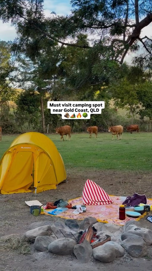 Hipcamp: Sarabah Creek Campsite 🏕️ 

🪵 Site 1
Toilets available 
Creek to swim in 🏊‍♀️ 
45 mins from the Gold Coast 
2WD accessible 
🐮 Animals roaming 
Fire pit 🔥

@sarabahcamping 

#camping #2wd #goldcoast #australia #hipcamp