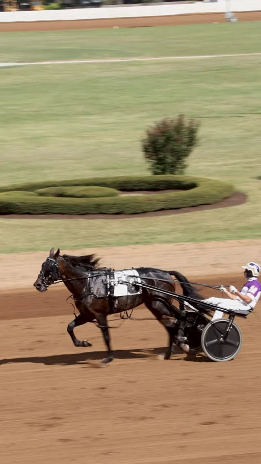 The energy, the anticipation, the sound of hooves thundering past, it’s where moments turn into memories and every race feels like something bigger than just a finish line. Whether you’re here for the thrill, the tradition, or the people beside you, there’s nothing quite like it.

Life’s better at the track. 🐎✨

#harnessracing #lexingtonky #standardbred