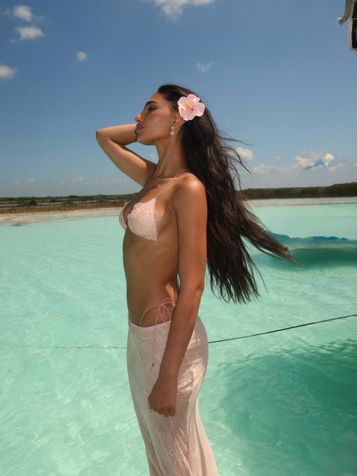 🌺🌺