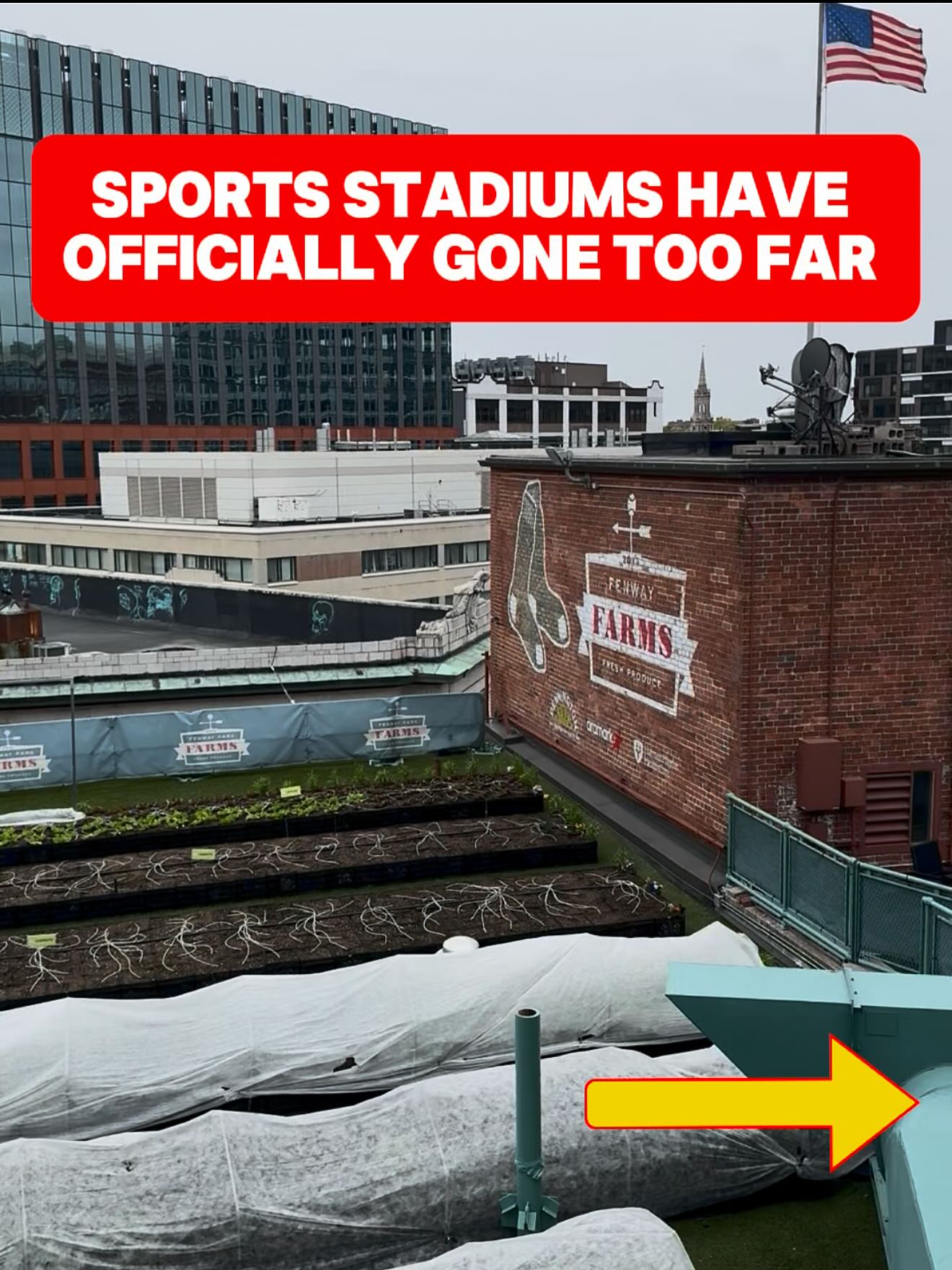 Is this is the Red Sox best kept secret?? 

Fenway Farms is a fully functioning rooftop farm that lives on top of the stadium. It is used to grow all the food for the concession stands in the stadium and they are pushing out over 6,000 pounds of food each year. 

So, that means every time you attend a baseball game, you’re unknowingly sitting right underneath a whole farm

The wildest part of Fenway Park isn’t even the baseball and somehow nobody talks about it…

#TickPick #fenwaypark #redsox #boston #mlb