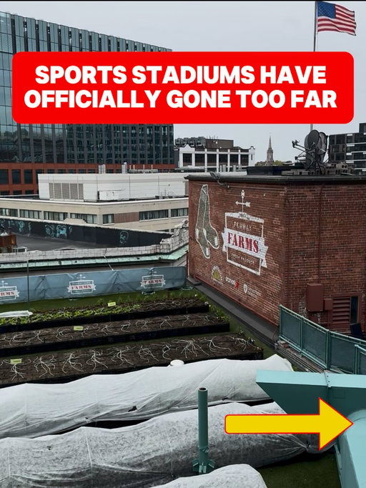 Is this is the Red Sox best kept secret?? 

Fenway Farms is a fully functioning rooftop farm that lives on top of the stadium. It is used to grow all the food for the concession stands in the stadium and they are pushing out over 6,000 pounds of food each year. 

So, that means every time you attend a baseball game, you’re unknowingly sitting right underneath a whole farm

The wildest part of Fenway Park isn’t even the baseball and somehow nobody talks about it…

#TickPick #fenwaypark #redsox #boston #mlb