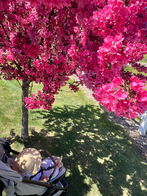 Becoming your mom is the best thing to ever happen to me . 🌷🩷

“Behold, I am doing a new thing! Now it springs up; do you not perceive it? I am making a way in the wilderness and streams in the wasteland.” Isaiah 43:19
