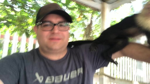 Monkey climbed in my shirt!
#zoo #roatan #comedy #travel
