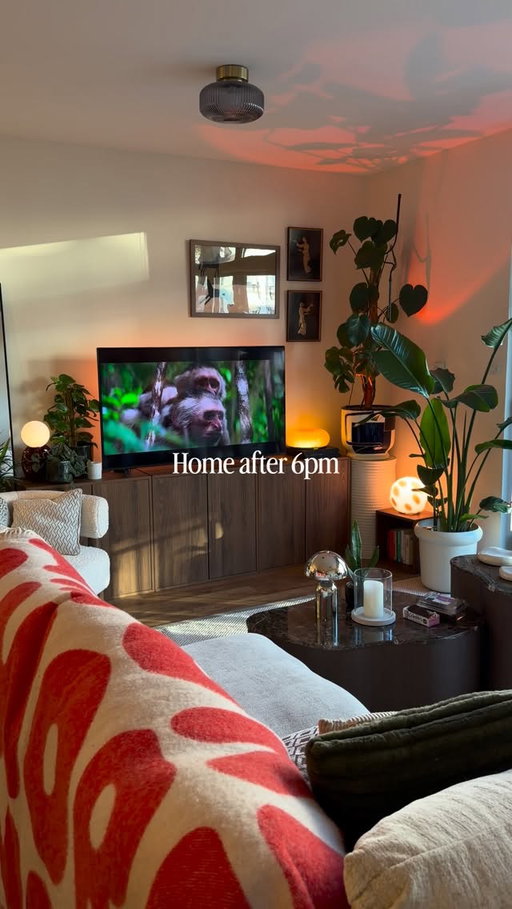 these spring/early summer nights have the flat looking so good after 6pm, the sun reflects in for the last hour or two, and then you get a nice golden glow 🌞 

#Homedecor #homeinspiration #homeinspo #apartmentdecor #apartmentinspo