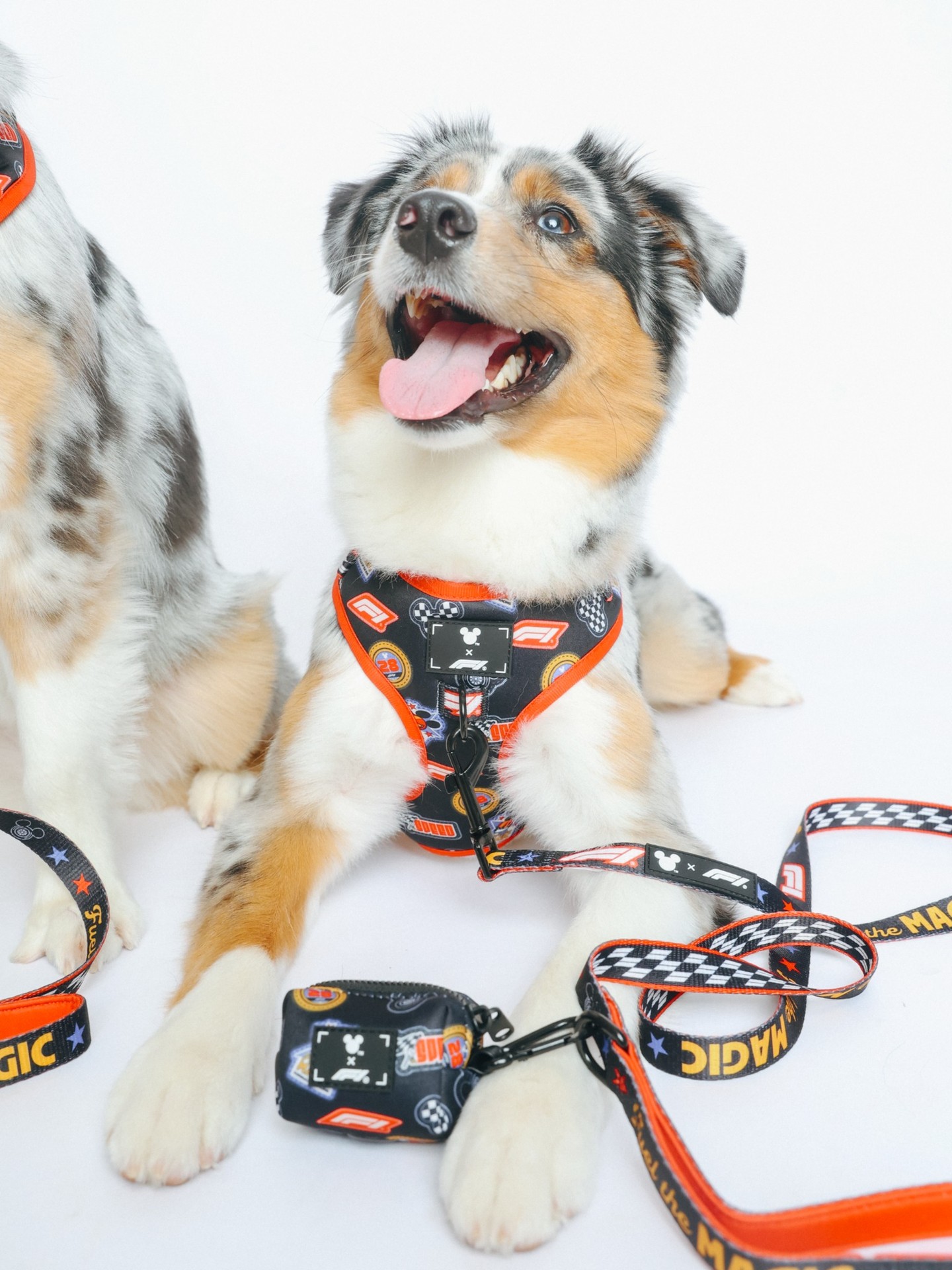 Zoomies incoming: A new Disney x Formula 1 Pet Collection is joining the race!  The assortment includes an adjustable dog leash, harness and waste bag holder. 

Available at F1 Hub Montreal as a limited release during the race weekend and at the Disney x F1 Store Trackside and F1 Grand Prix Plaza starting in late June.