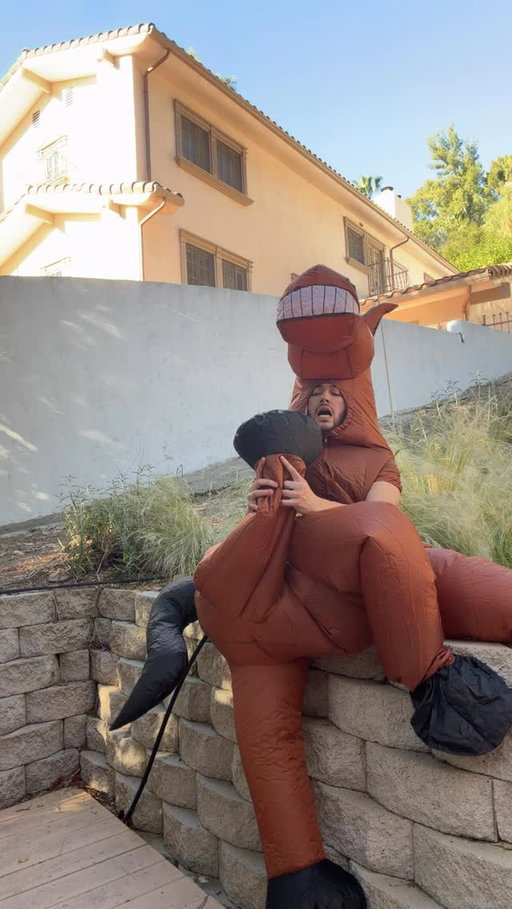 save a horse… literally
