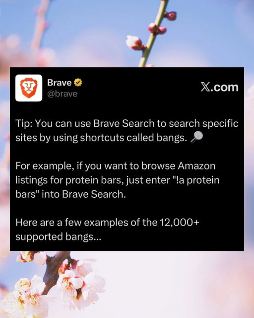 💡 Find what you need faster with Brave Search bangs. These shortcuts let you easily perform searches on specific sites.

You can find the full list of bangs at search.brave.com/bangs